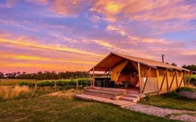 Start up a Glamp site on your winery and generate an extra income stream!