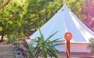 Why is Glamping so popular?